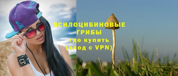 индика Козельск