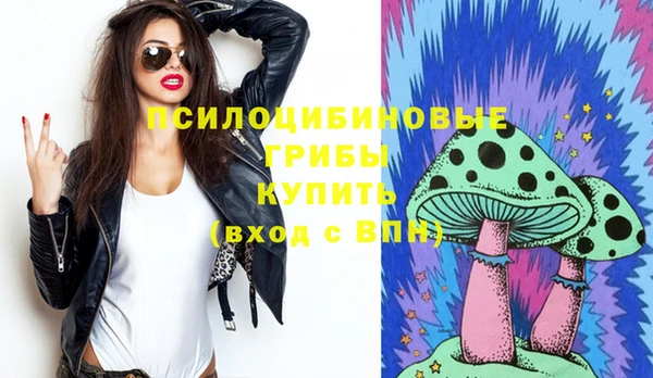 индика Козельск