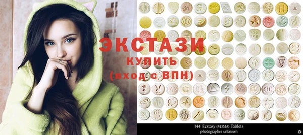 индика Козельск