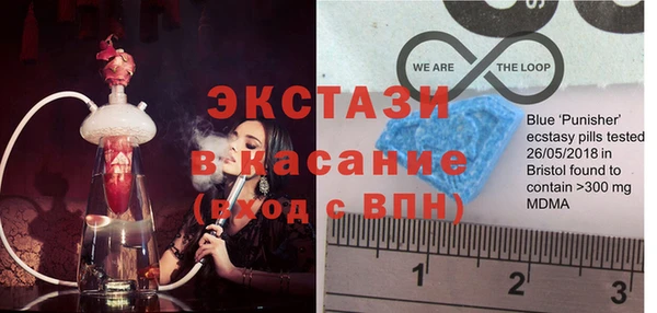 индика Козельск