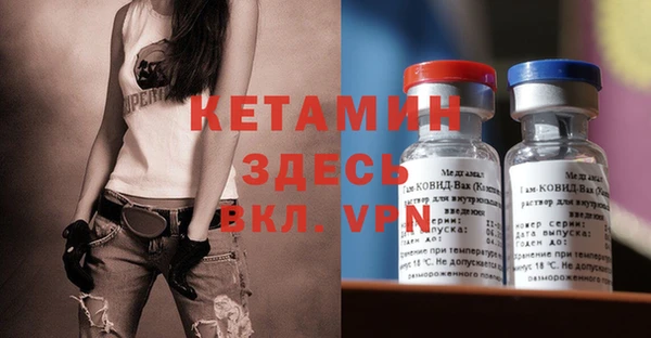 индика Козельск